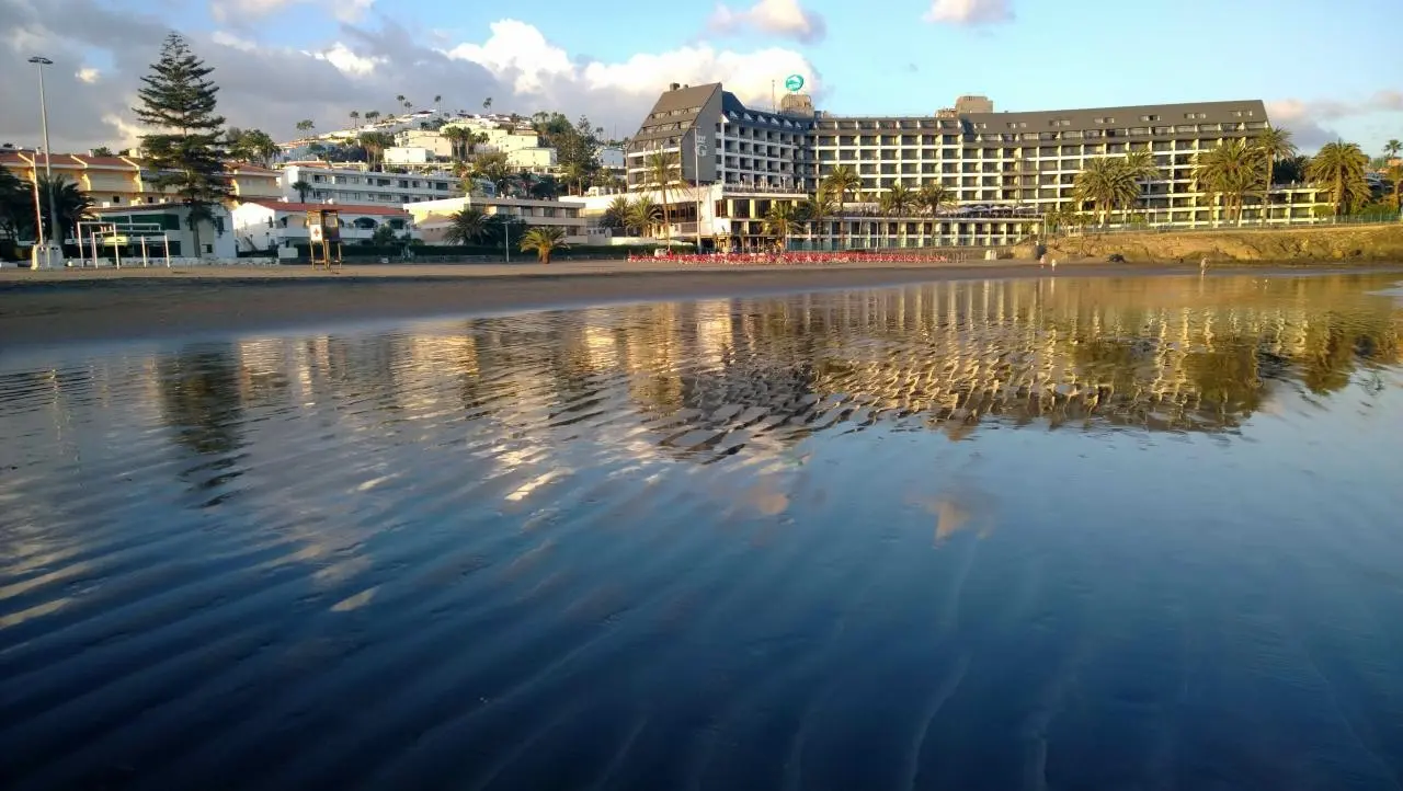 Don Gregory by Dunas — DUNAS DON GREGORY