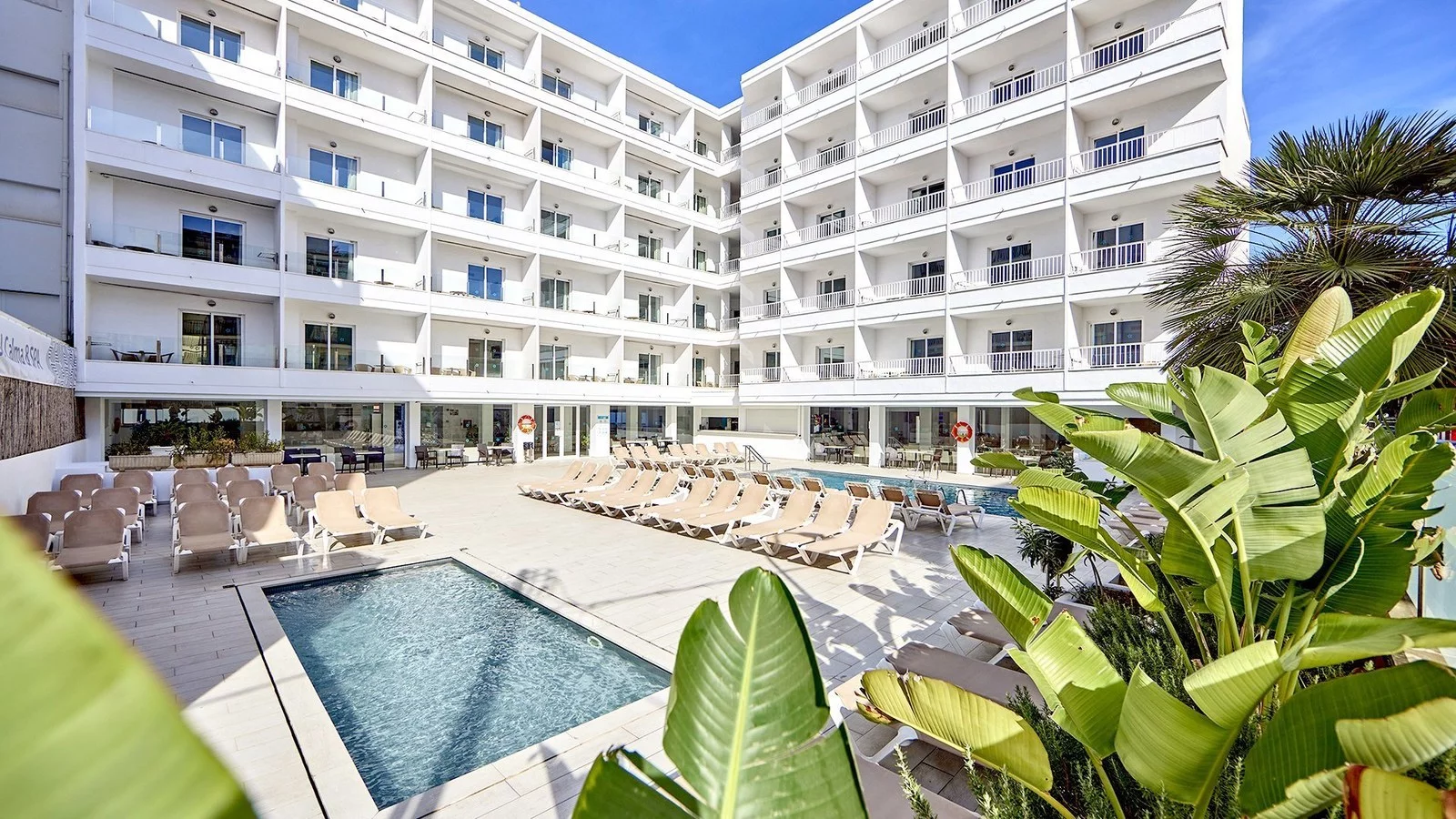 Hotel Hotel Ilusion Calma w Hiszpania (Majorka) - oferta last minute