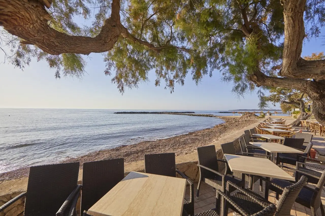 Ilusion Moreyo — ILUSION MOREYO