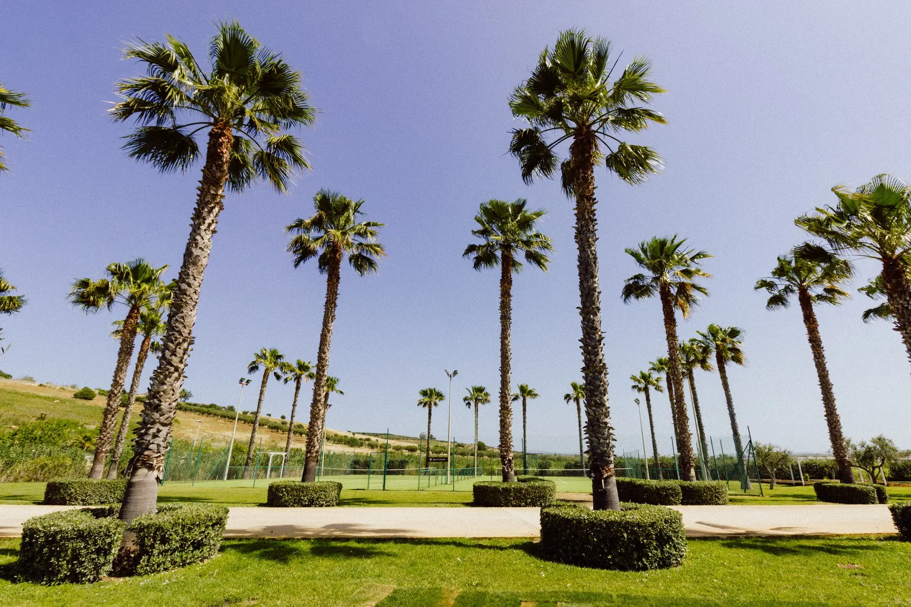 Mangia’s Selinunte Resort — MANGIA'S SELINUNTE RESORT