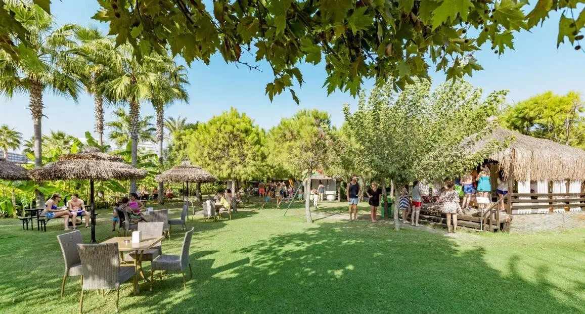 Miracle Resort — MIRACLE RESORT