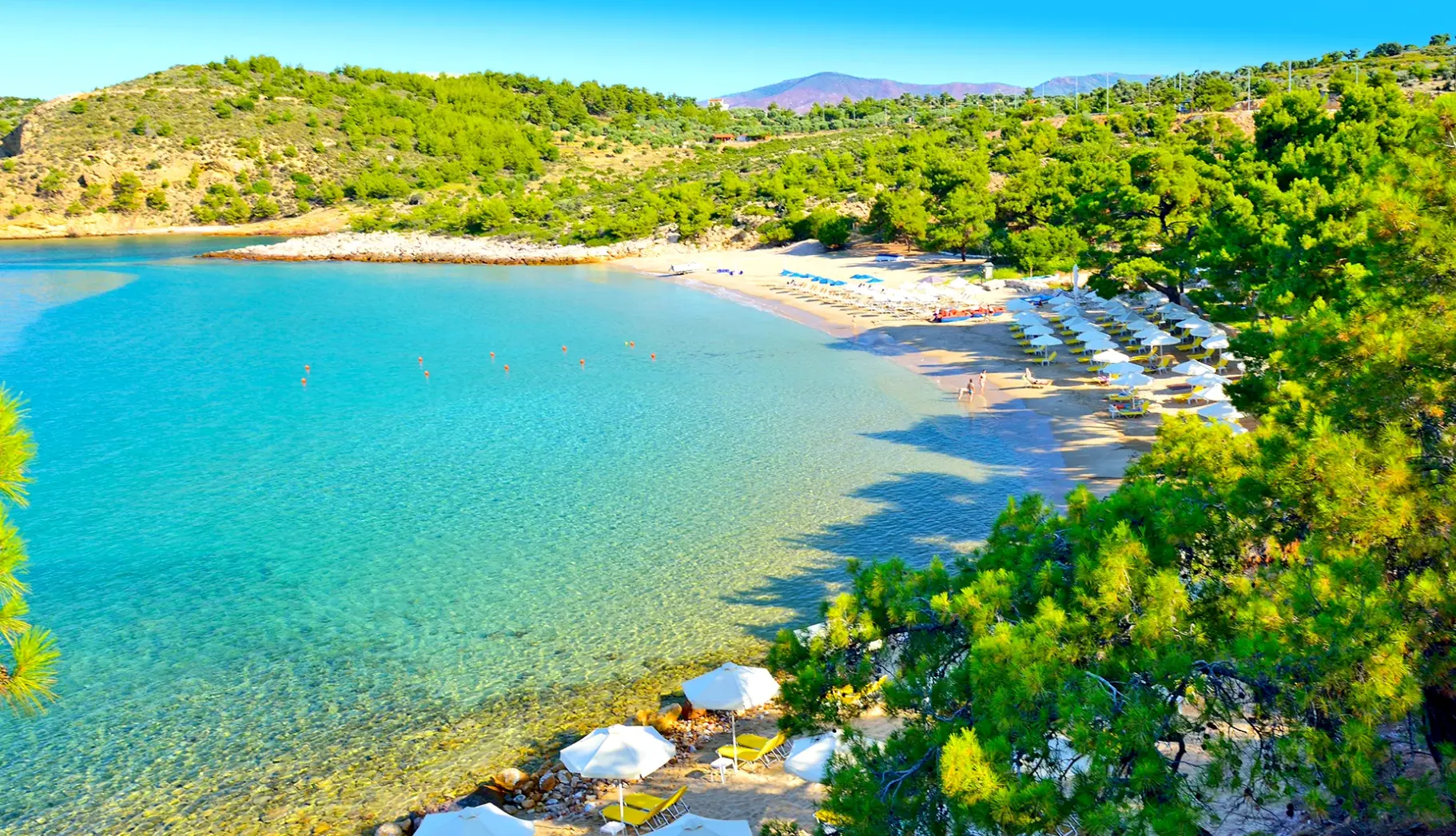 Plaża przy hotelu Royal Paradise Beach Resort & Spa