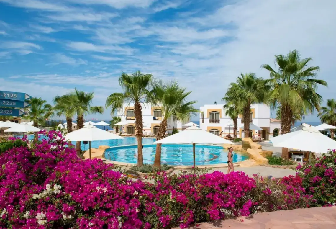 Basen w hotelu Amphoras Blu