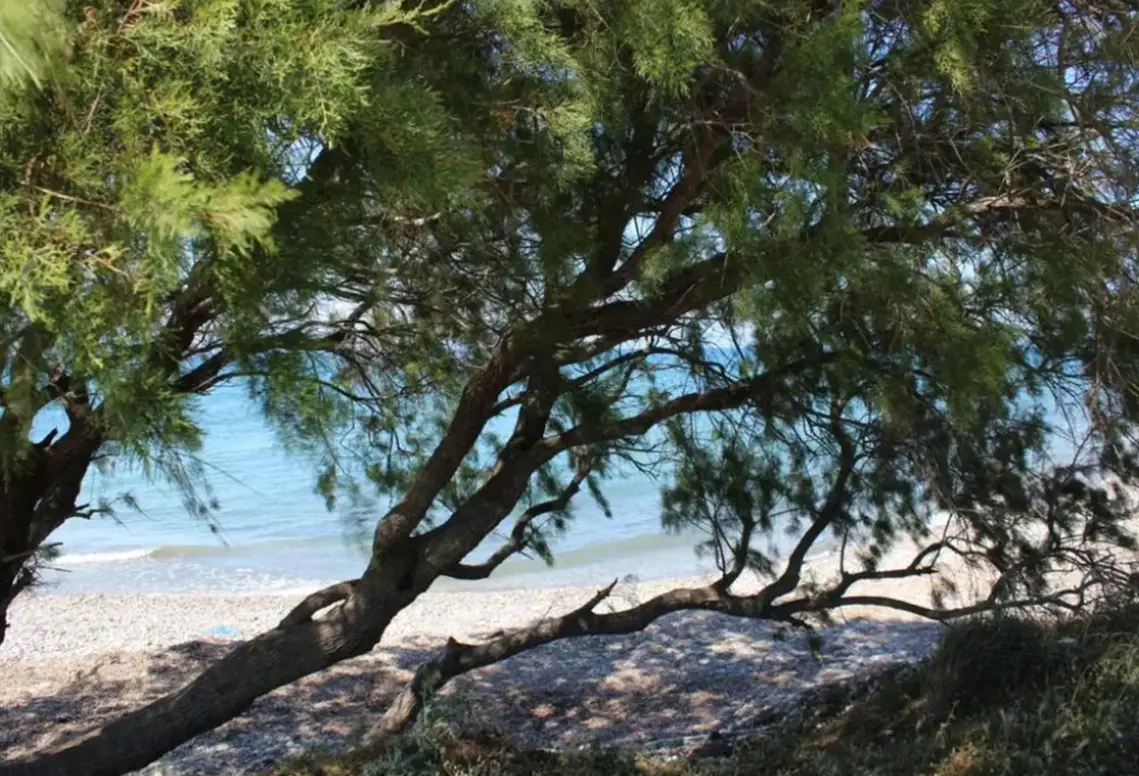 Hotel Asterias Bay (Theologos) w Grecja (Rodos) - oferta last minute