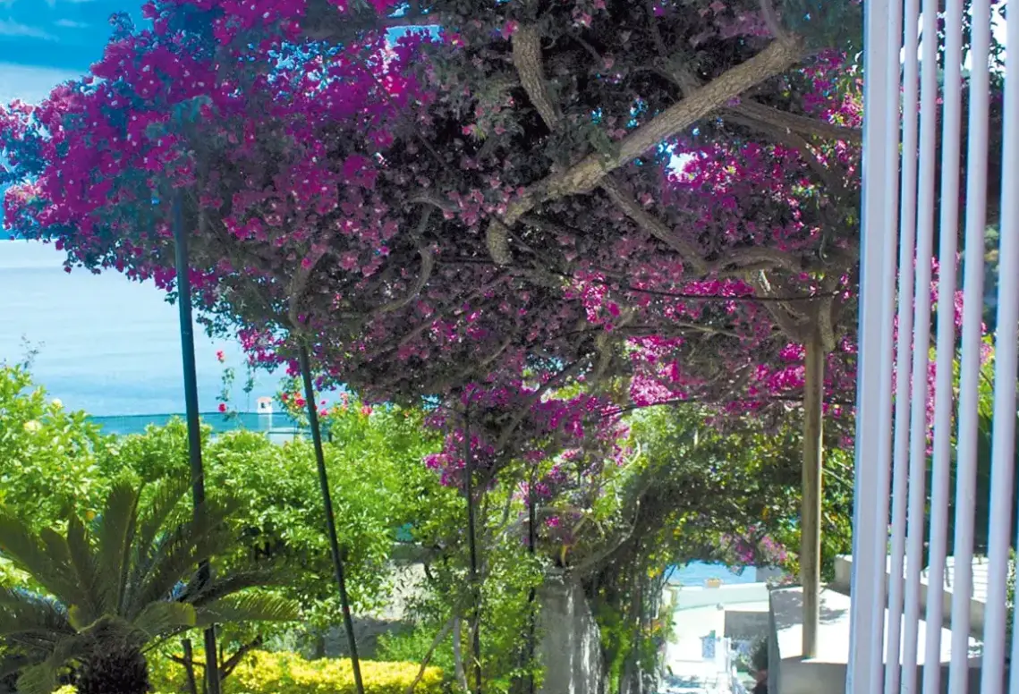 Widok z hotelu Casa Rosa Terme