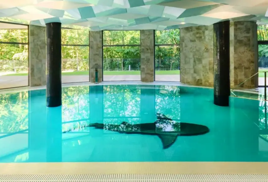 Basen w hotelu Diune Resort