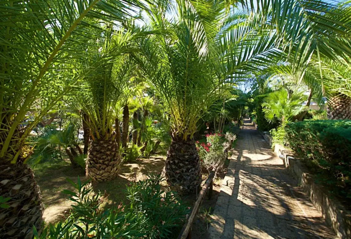 Residence Park Solemaremma