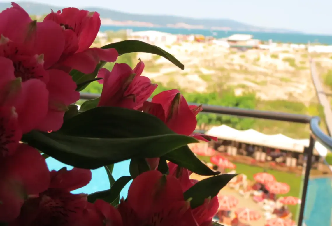 Widok z hotelu Sirena (Sunny Beach)