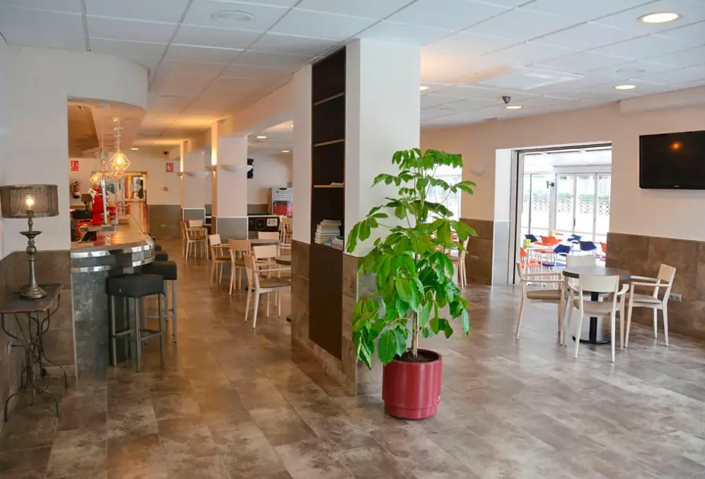 Restauracja i jedzenie w hotelu Stella Maris (Blanes)