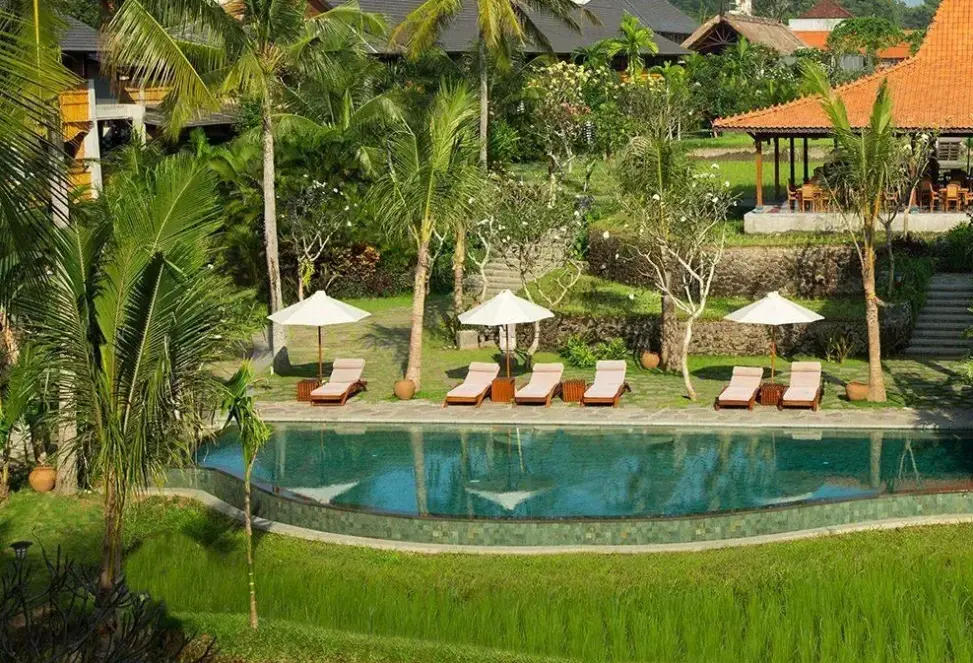 Basen w hotelu Alaya Ubud