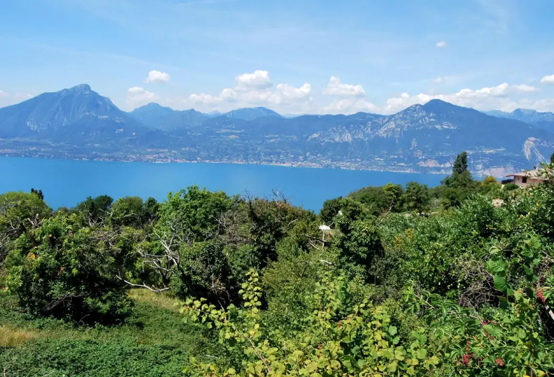 Widok z hotelu Belvedere (San Zeno Di Montagna)