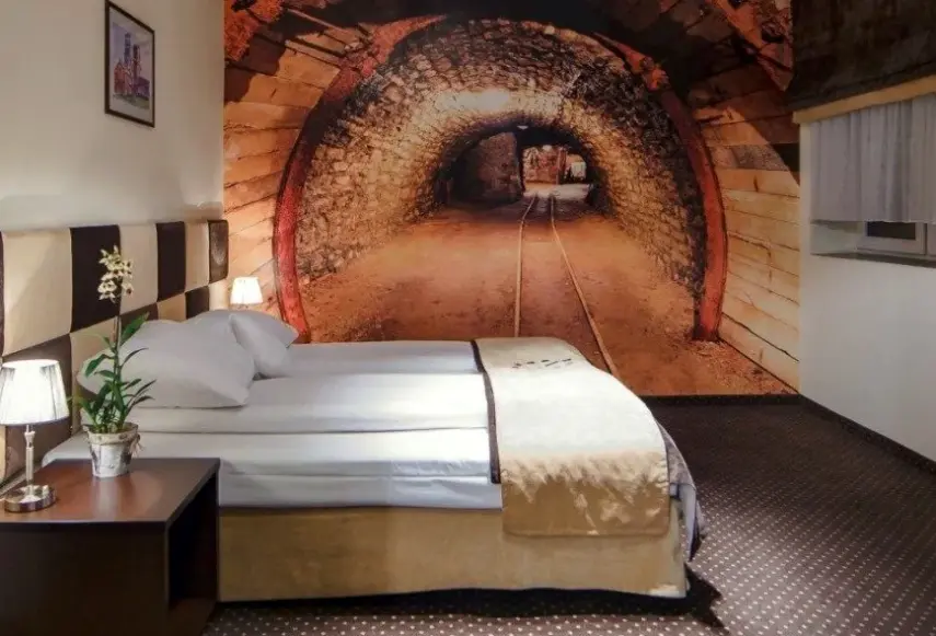 Pokój w hotelu Boutique Hotel's Bytom
