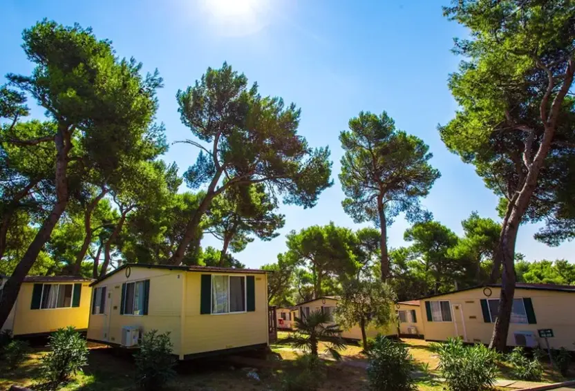 Obiekt hotelu Camping Arena Indije