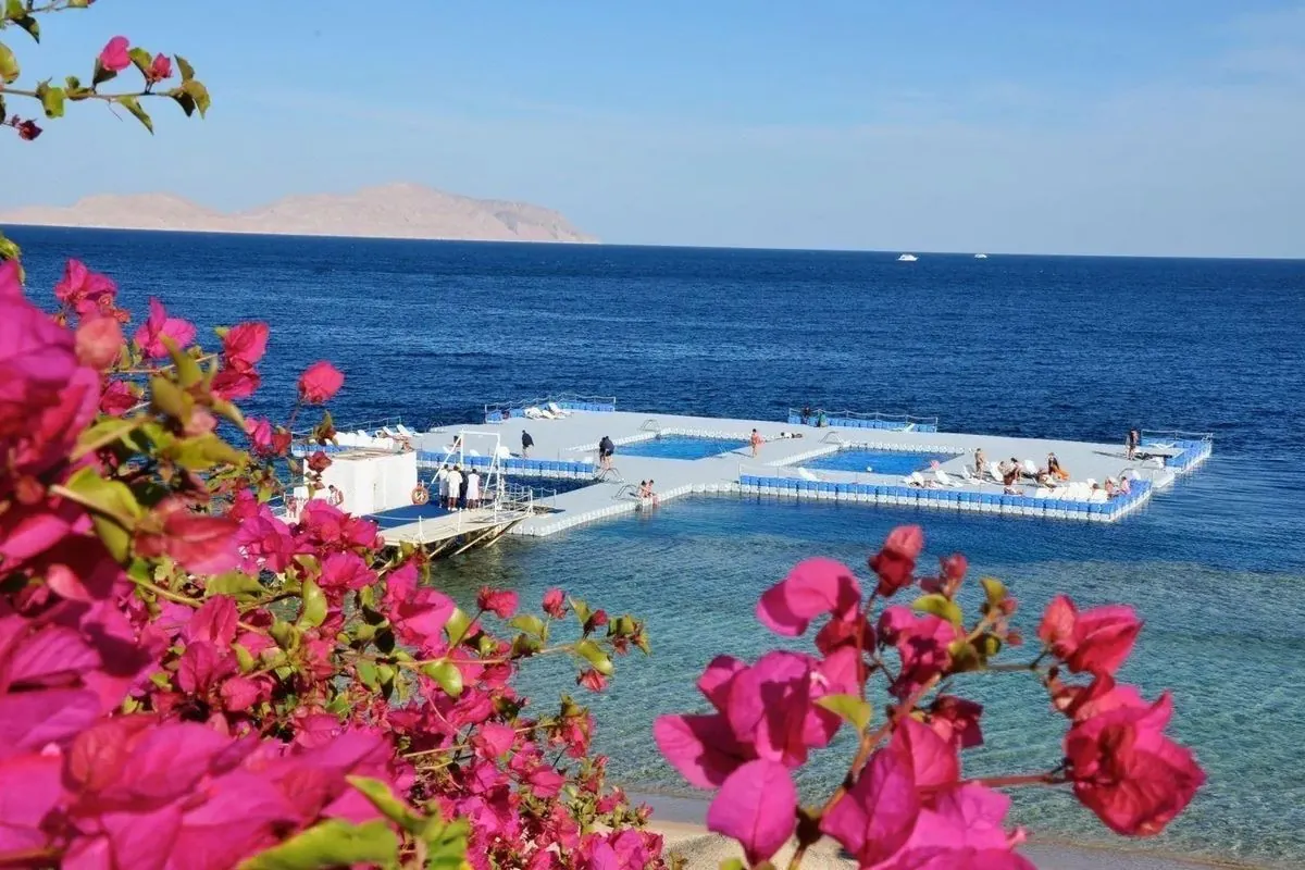Hotel Domina Coral Bay Harem