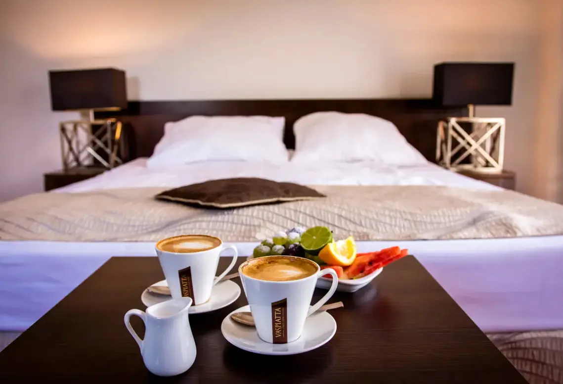 Pokój w hotelu Dwór Elizy SPA Medical