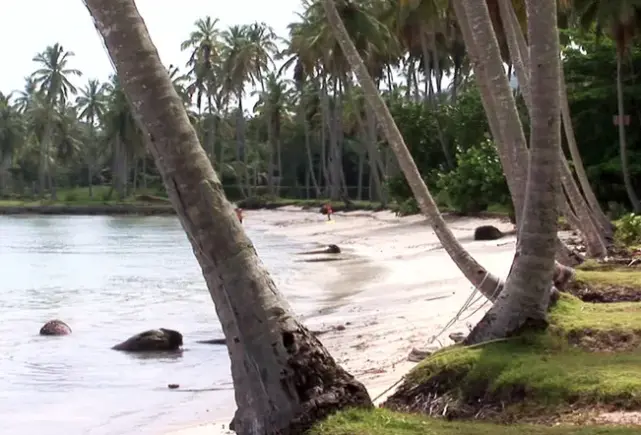 Plaża przy hotelu Grand Paradise Samana