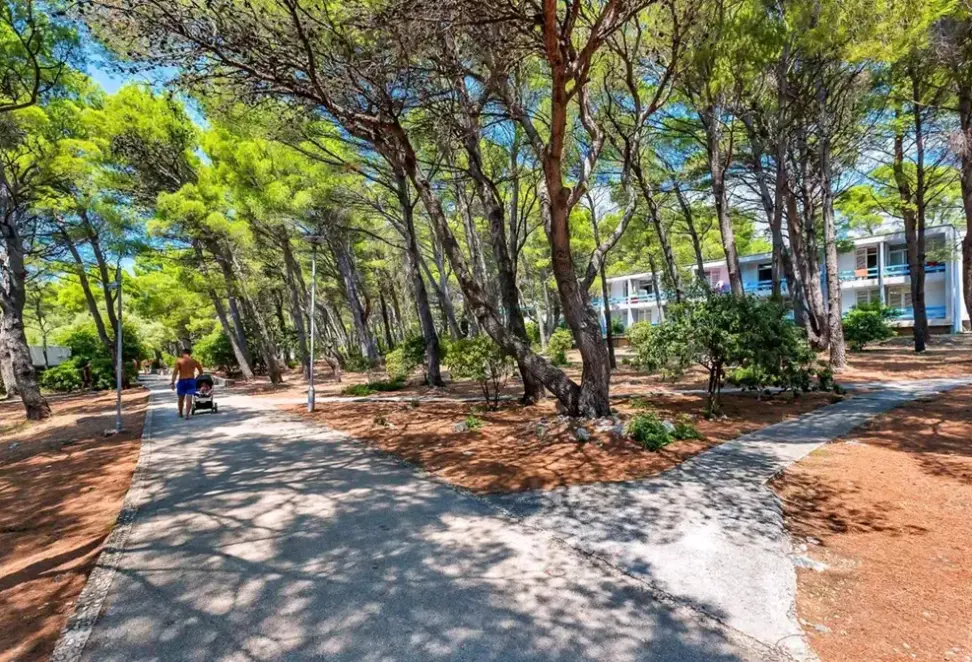 Plaża przy hotelu Holiday Resort Alemaris (Alem Basko Polje)