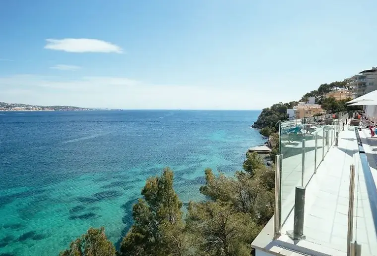 Obiekt hotelu Leonardo Royal Mallorca Palmanova Bay (ex. Alua Palmanova Bay)