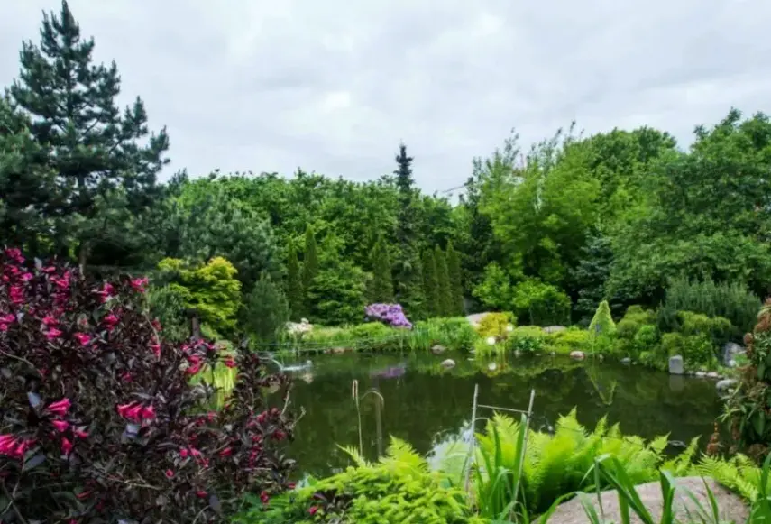 Widok z hotelu Platan