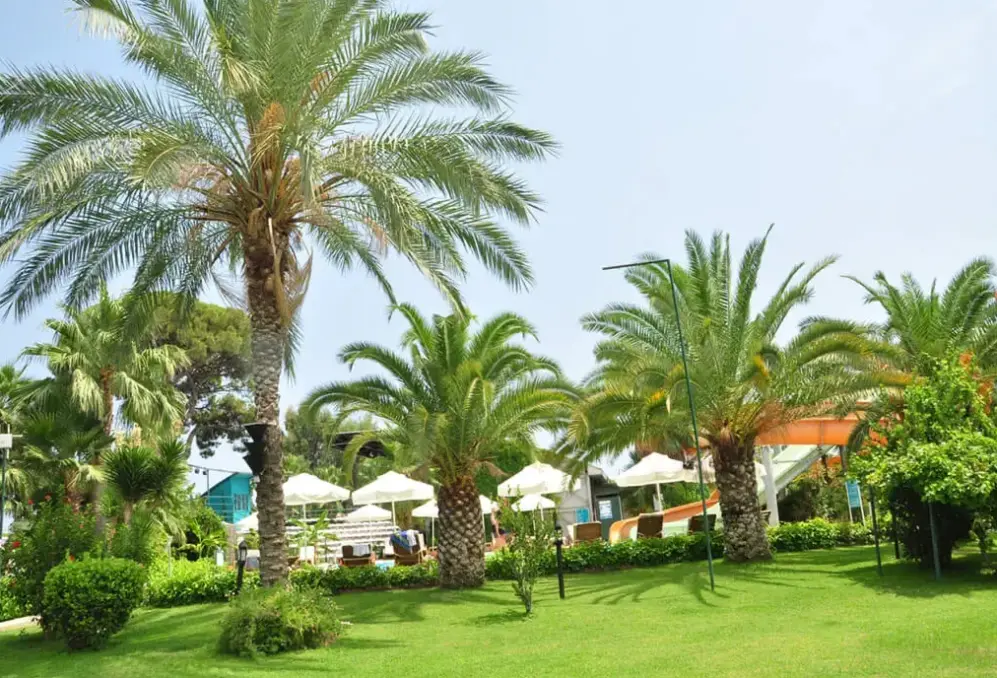 Basen w hotelu Zena Resort