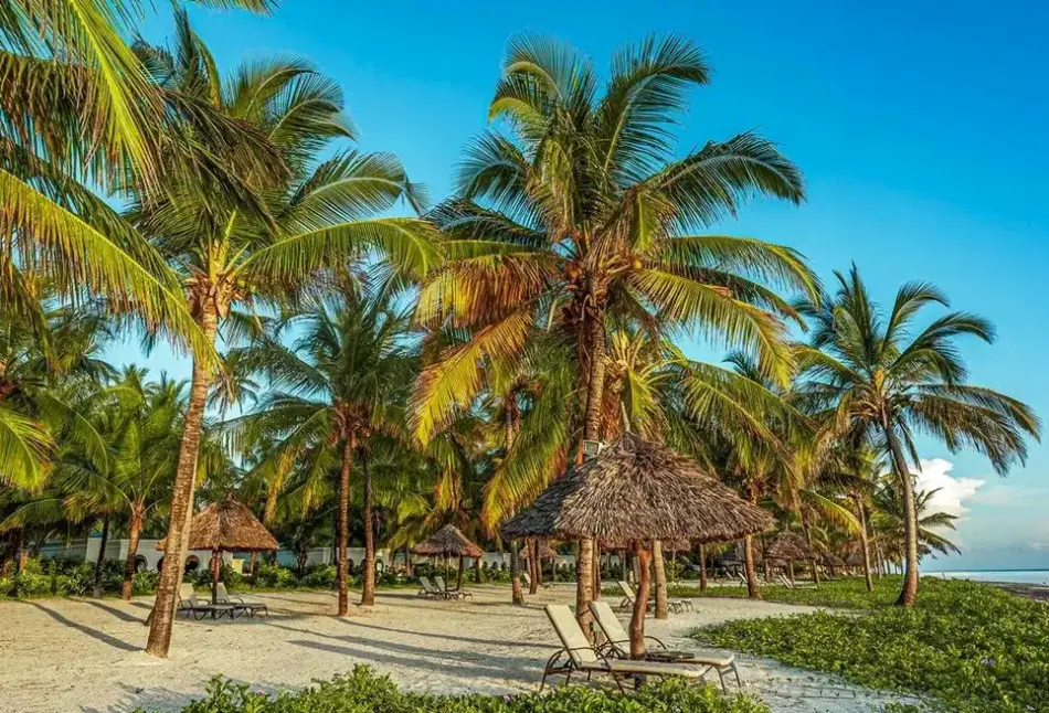 Plaża przy hotelu Baraza Resort & Spa