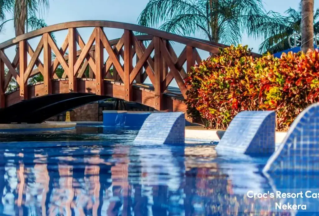 Basen w hotelu Croc's Resort & Casino