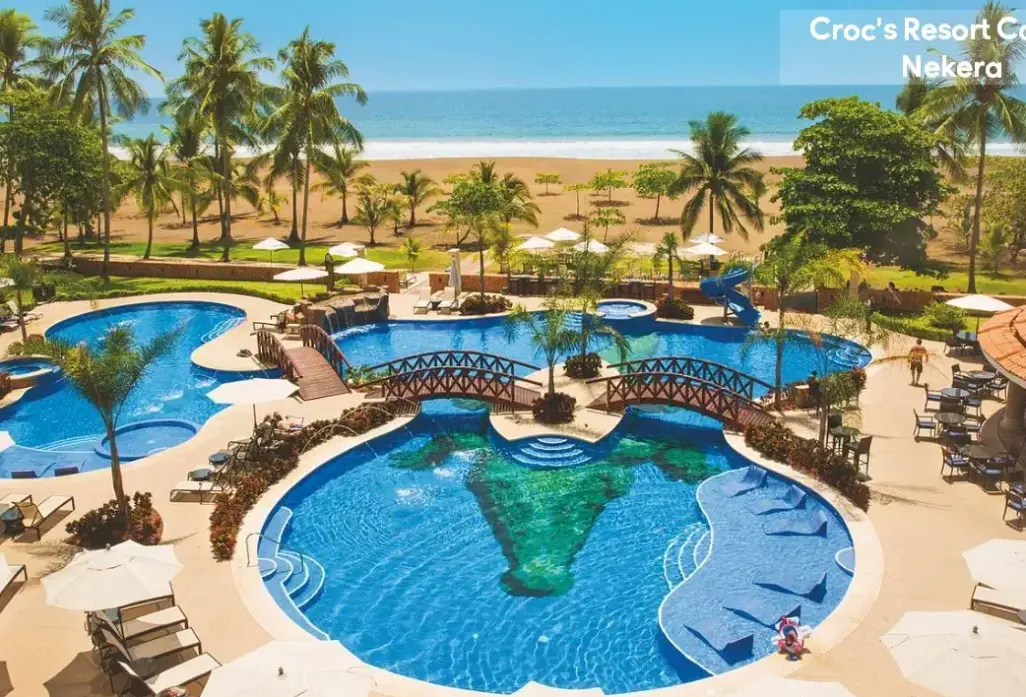 Basen w hotelu Croc's Resort & Casino