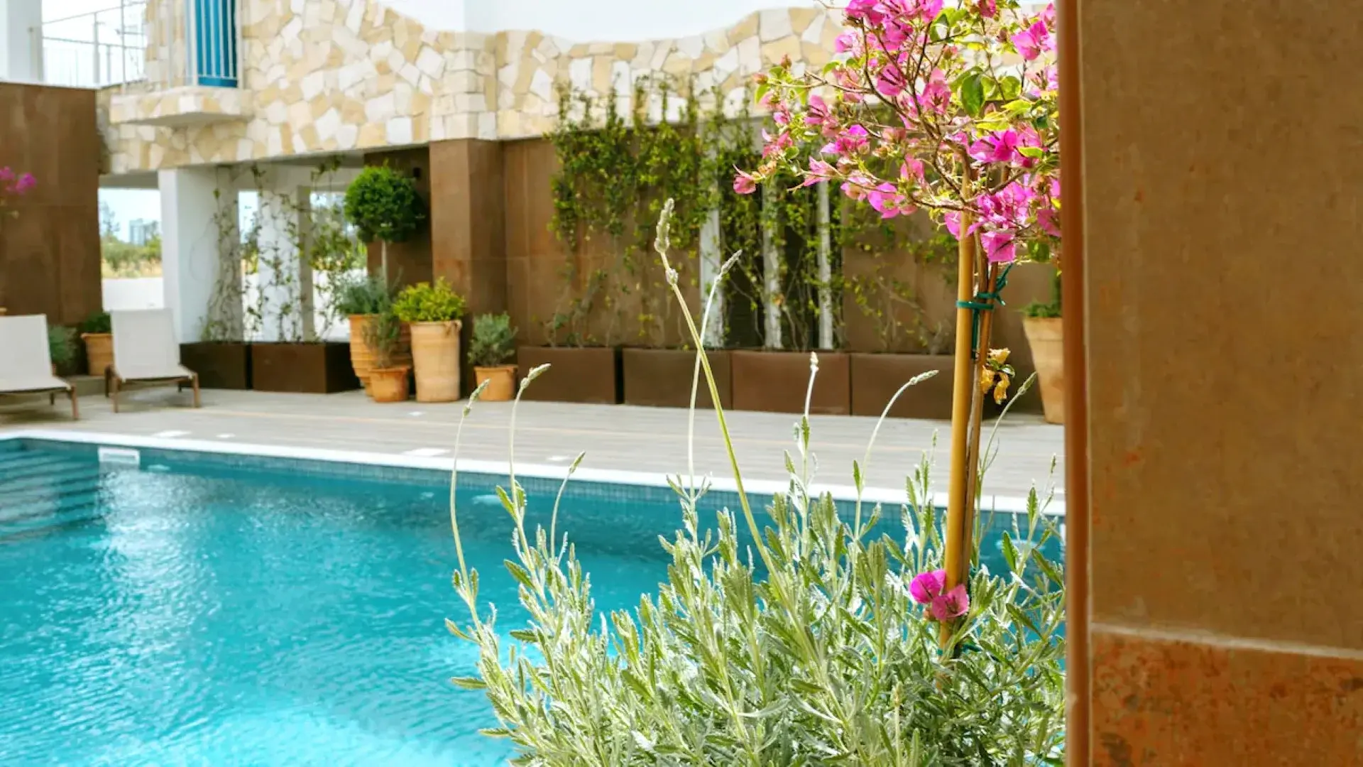 Basen w hotelu Hotel Liv & CO Suites & Villas