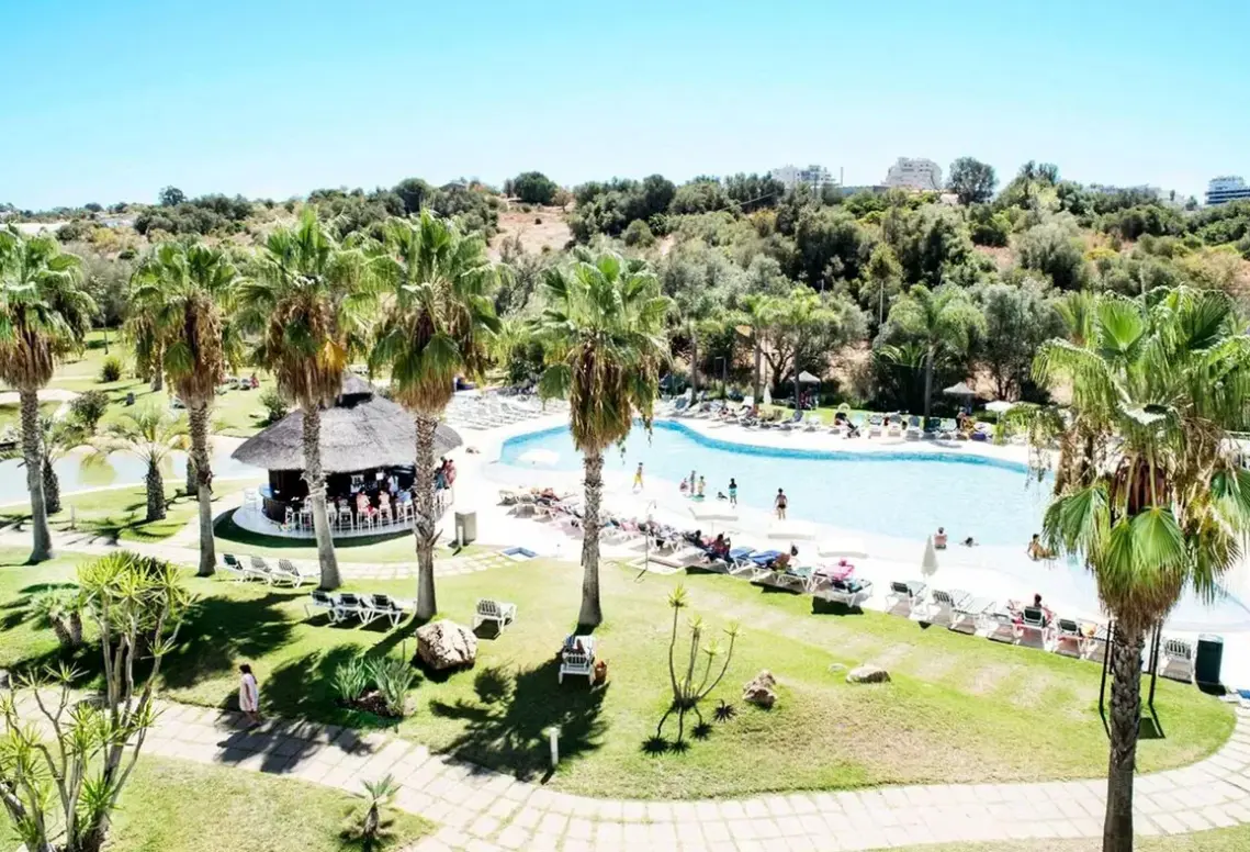 Basen w hotelu Navigator - Palm Oasis Alvor