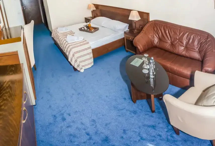 Pokój w hotelu Pagus Wellness & SPA