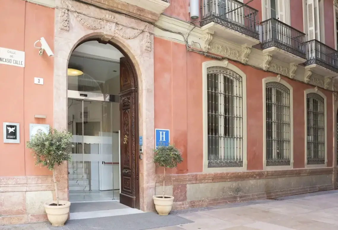 Hotel Petit Palace Plaza