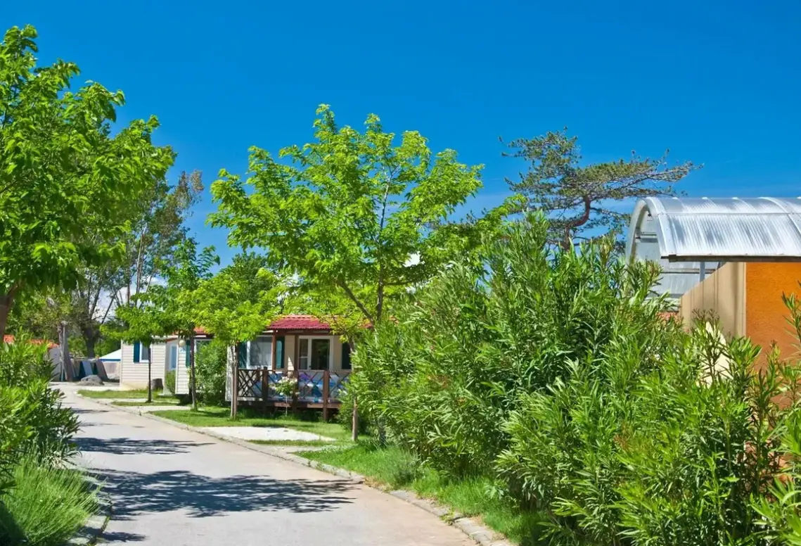 Obiekt hotelu San Marino Camping Resort by Valamar