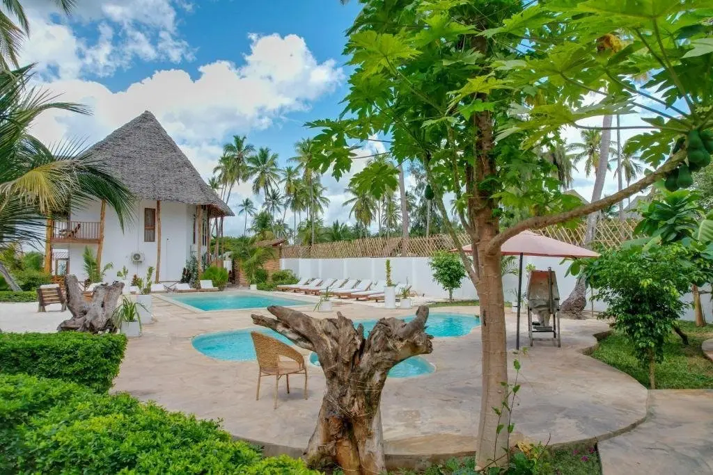 Basen w hotelu Tamu Tamu Boutique