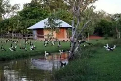 Hotel Feathers Sanctuary