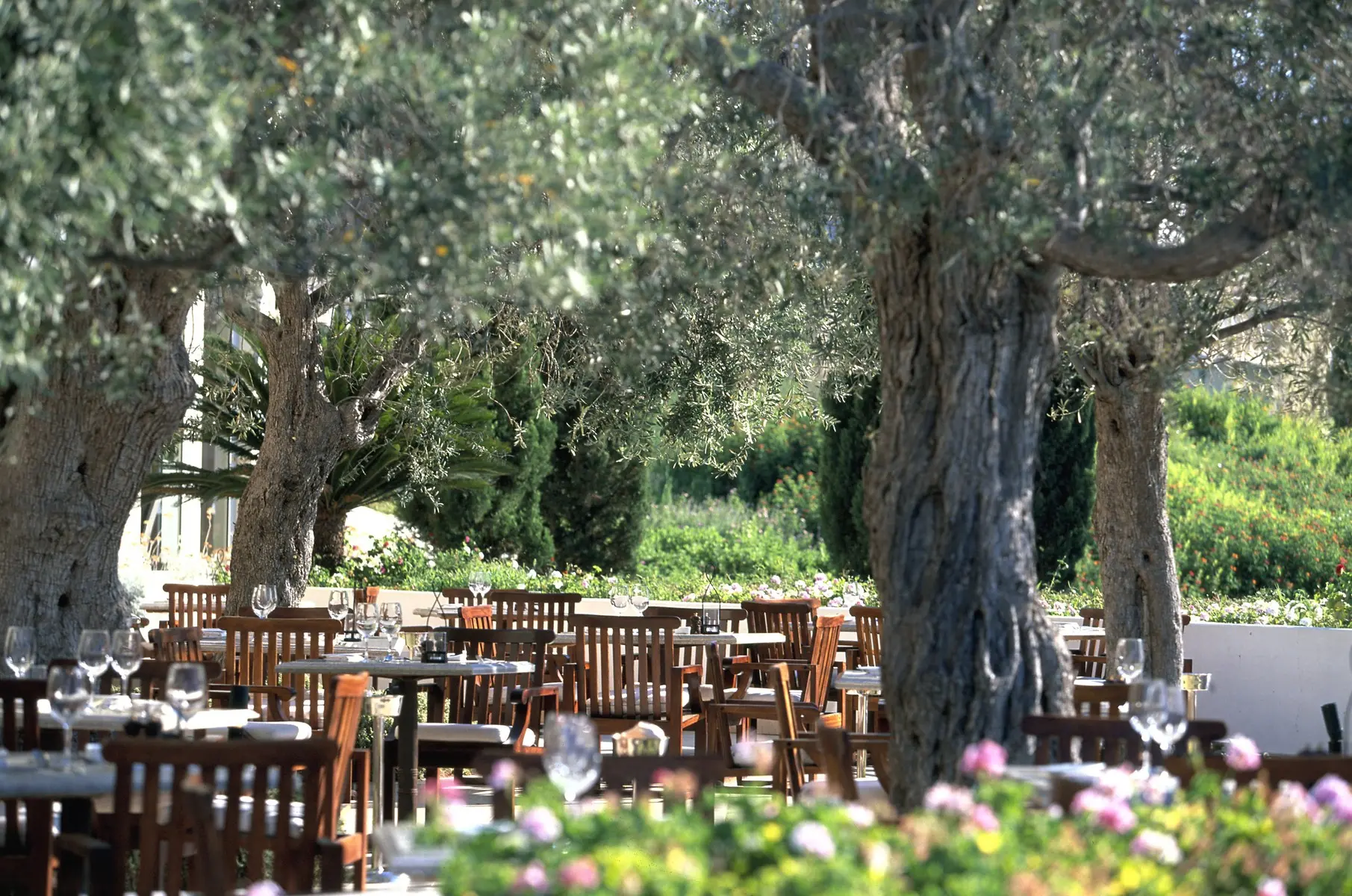 Anassa Hotel — ANASSA