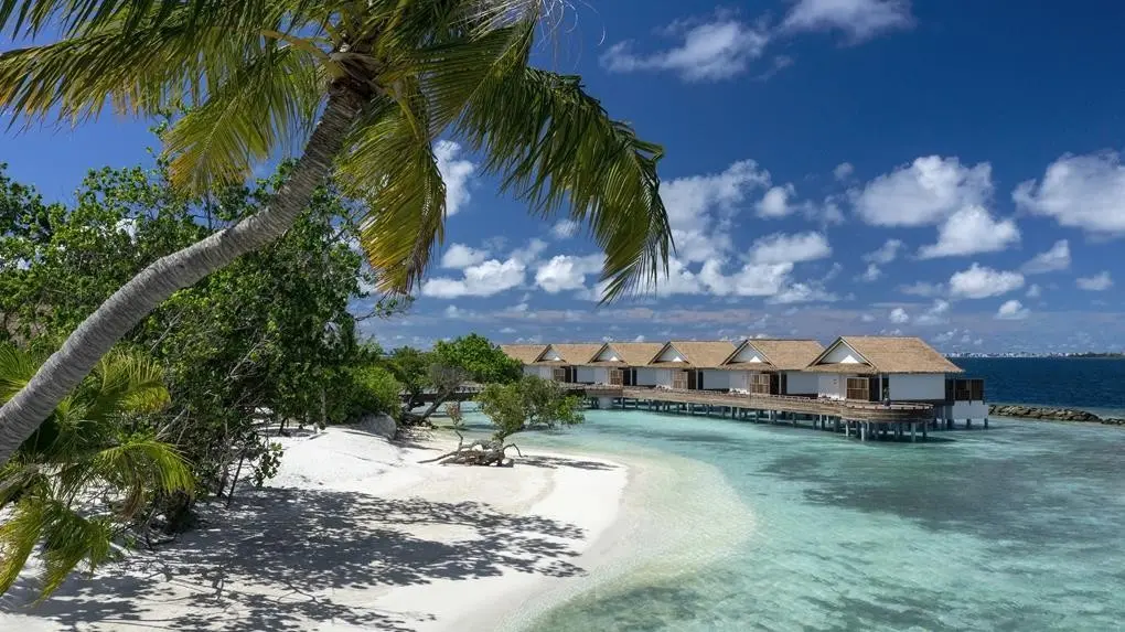 Bandos Maldives — BANDOS MALDIVES