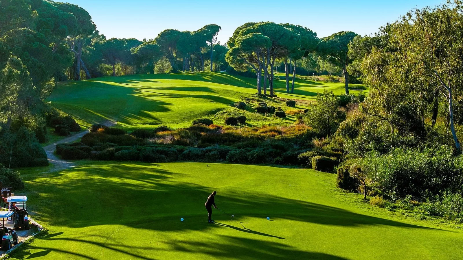 Hotel Cornelia Diamond Golf Resort & Spa w Turcja (Belek) - oferta last minute