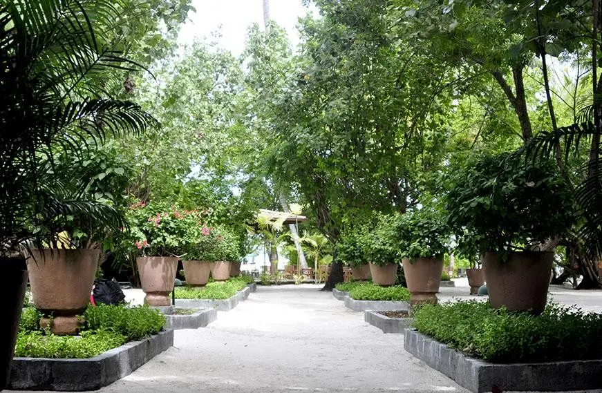 Obiekt hotelu Embudu Village Maldives