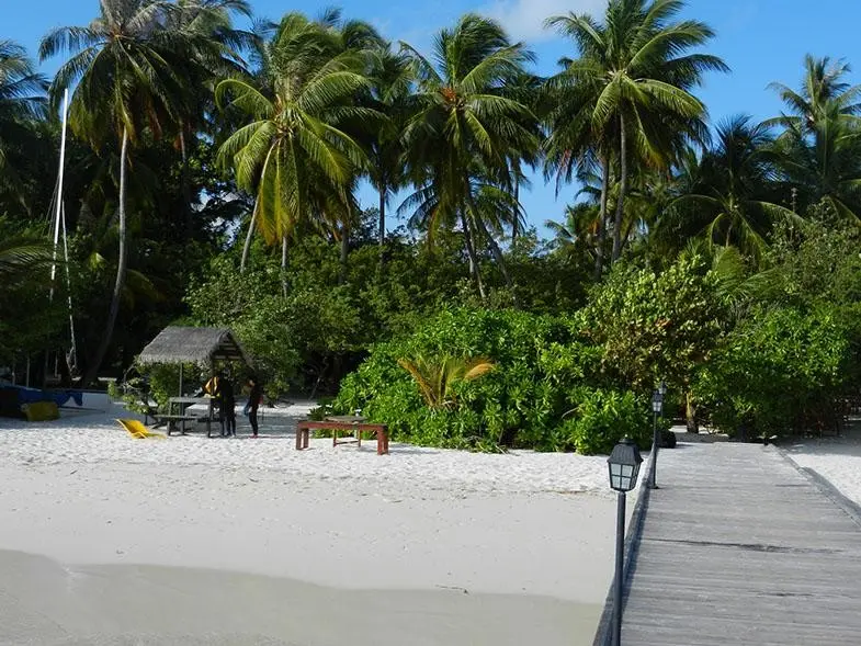Plaża przy hotelu Embudu Village Maldives