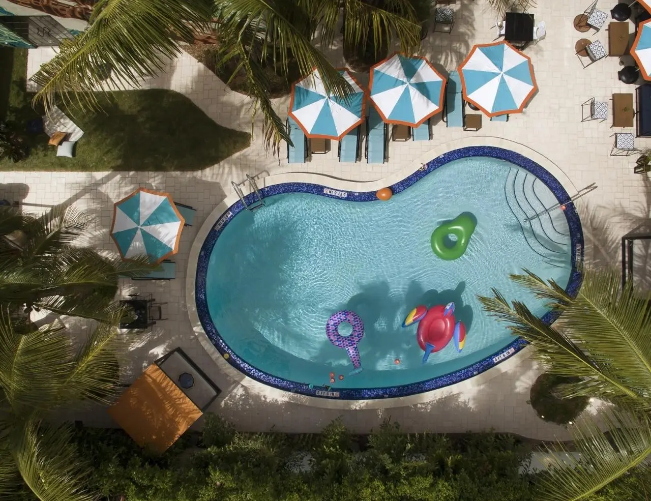 Generator Miami — GENERATOR MIAMI