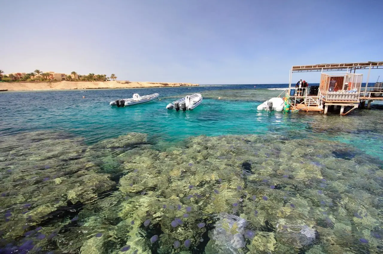 Jaz Lamaya Resort — JAZ LAMAYA RESORT