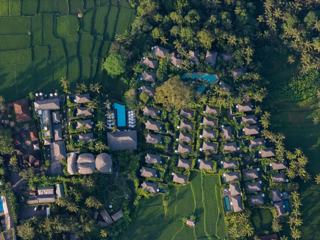 Kappa Senses Ubud — KAPPA SENSES UBUD