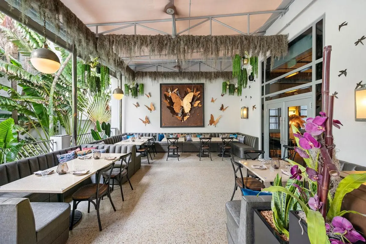 National Hotel Miami Beach An Adult Only Oceanfront Resort — NATIONAL HOTEL MIAMI BEACH AN OCEAN FRONT RESORT