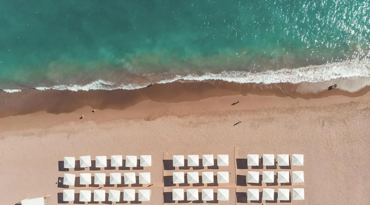 Paloma Finesse — PALOMA FINESSE