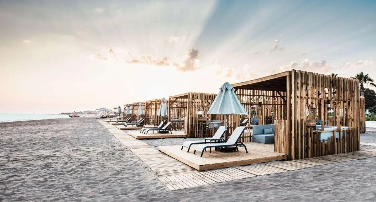 Paloma Finesse — PALOMA FINESSE