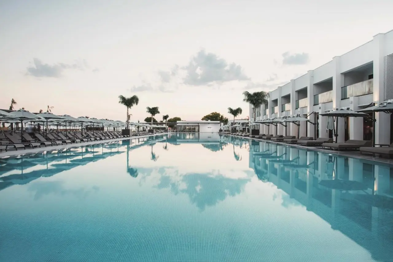 Paloma Finesse — PALOMA FINESSE