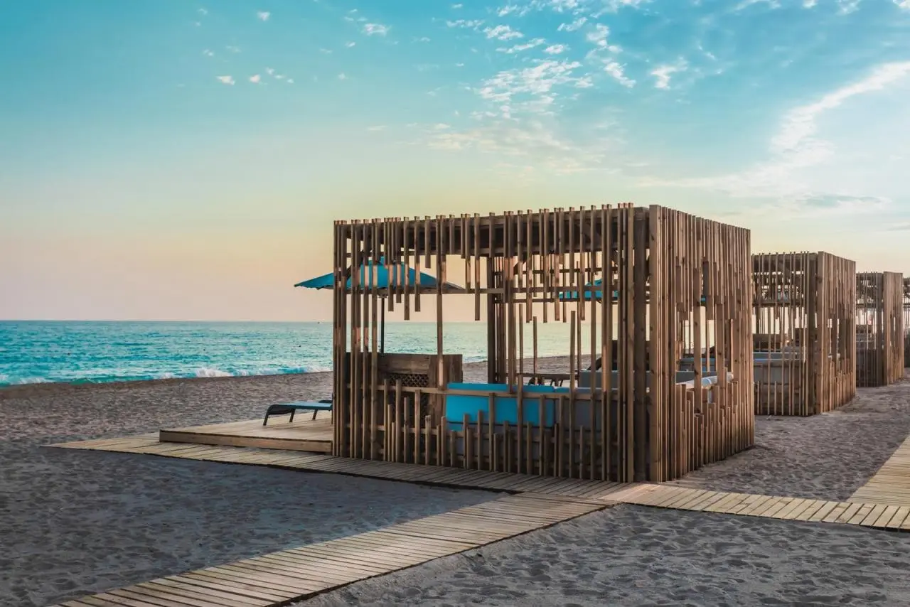 Paloma Finesse — PALOMA FINESSE