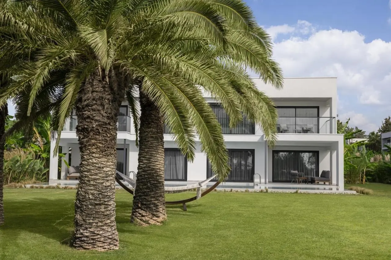 Paloma Finesse — PALOMA FINESSE