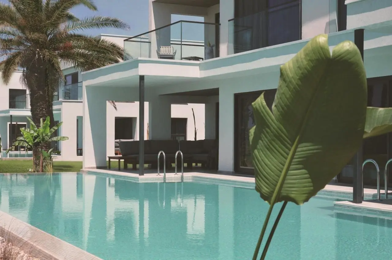 Paloma Finesse — PALOMA FINESSE