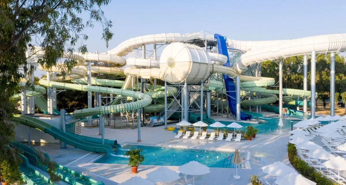 Paloma Finesse — PALOMA FINESSE